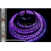 5050-60L-IP65 RGB SMD WZQH светодиодная лента 5050-60L-IP65 RGB SMD WZQH светодиодная лента