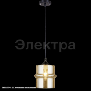 04261-09-01 BK светильник потолочный