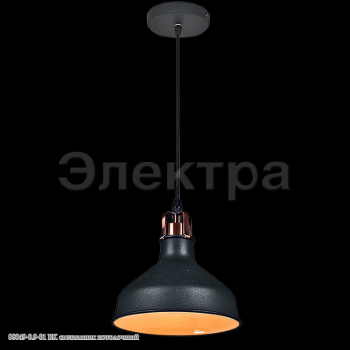 08049-0.9-01 BK светильник потолочный